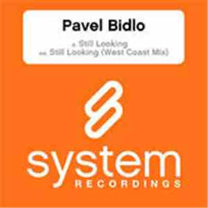 Pavel Bidlo - Still Looking