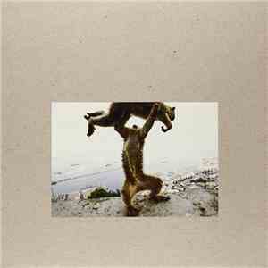 Shellac - Dude Incredible