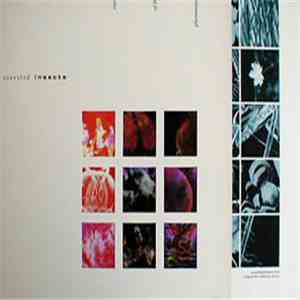 Startled Insects - Curse Of The Pheromones