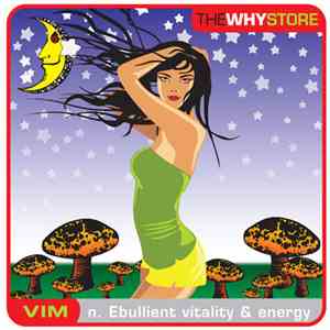 The Why Store - Vim