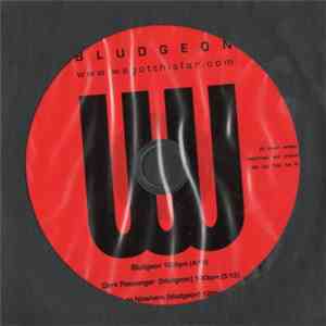 We Got This Far - Bludgeon