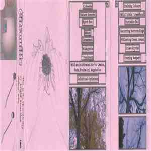 Citrouille - This Is The Eleventh Day Of Bright Sunshine Without Rain