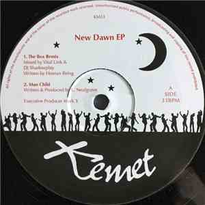 DJ Shadowplay / Vital Link - New Dawn EP