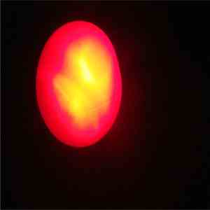 Turbo Polyp - Explorer Of The Deep Red