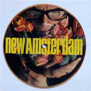 Elvis Costello - New Amsterdam