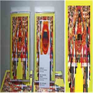 Red Electric Rainbow / Reptile Brain - Split