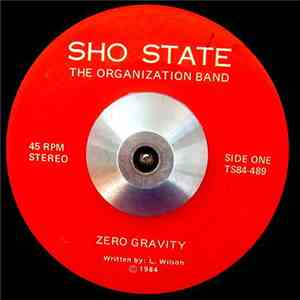 The Organization Band - Zero Gravity