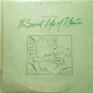 Stevie Wonder - Journey Through The Secret Life Of Plants