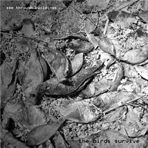 See Through Buildings - The Birds Survive