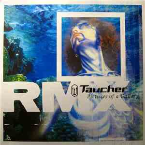 Taucher - Pictures Of A Gallery RMX