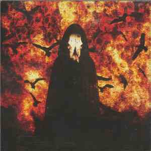 My Son My Executioner - The Burning