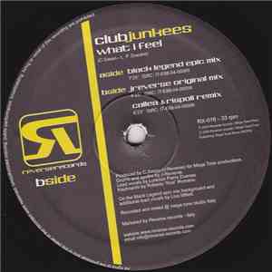 Club Junkees - What I Feel