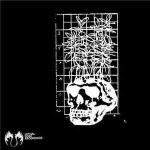 Cubex - Influences LP