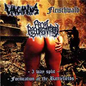 Vaginus / Fleischwald / Fecal Regurgitation - Fornication At The Battlefields - 3 Way Split