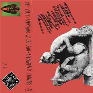 Anoniem - Anoniem - The First Eruption Of The Pan-psychodelic Fanfare