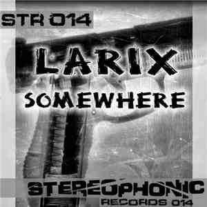 Larix - Somewhere