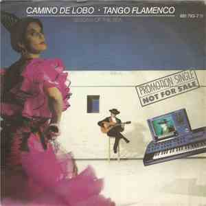 Camino De Lobo - Tango Flamenco
