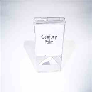 Century Palm - Century Palm