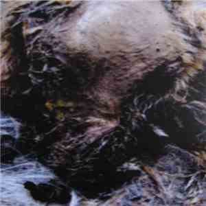 Mania  - Decrepit