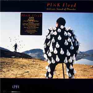 Pink Floyd - Delicate Sound Of Thunder