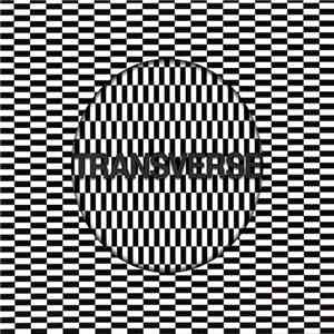Carter Tutti Void - Transverse