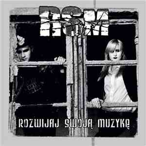 RSM - Rozwijaj Swoją Muzykę