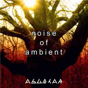Asuntar - Noise Of Ambient