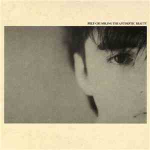 Felt - Crumbling The Antiseptic Beauty
