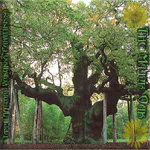 TVP - The Major Oak
