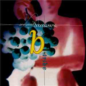 B-Tribe - Sensual Sensual