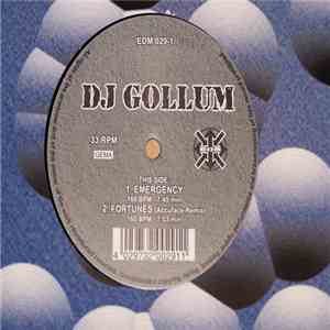 DJ Gollum - Fortunes