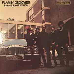 Flamin' Groovies - Shake Some Action