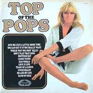 Unknown Artist - Top Of The Pops Vol.13