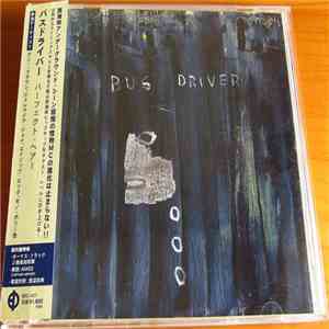 Busdriver - Perfect Hair