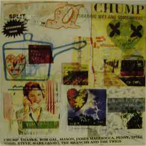 Chump  Split Single With Reversing Hour - Strange / Soaking Wet And Somewhere