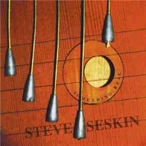 Steve Seskin - Something Real