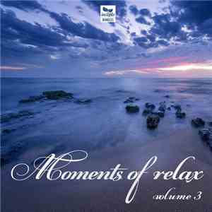 Various - Moments Of Relax (Volume 3)