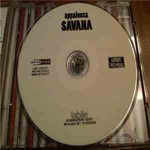 Appaloosa - Savana