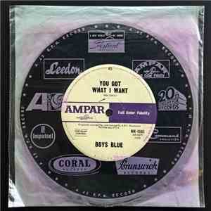Boys Blue - You Got What I Want