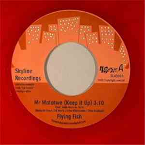 Flying Fish - Mr Matatwe (Keep It Up)