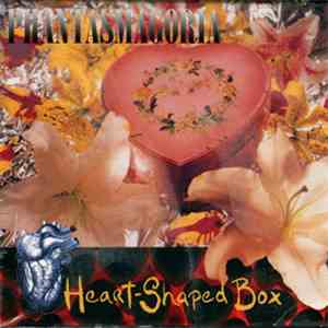 Coyote Clean Up / Phantasmagoria  - Disarm The Settlers Volume II