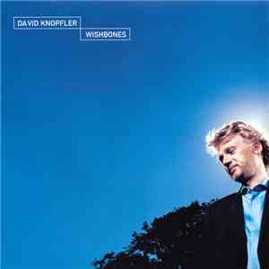 David Knopfler - Wishbones