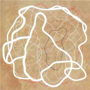 Nels Cline + G.E. Stinson - Elevating Device