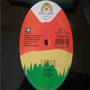 Sizzla / Jah Cure - Juvenile / Dance Hall Vibes