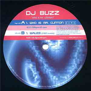 DJ Buzz - Who Is Mr. Clinton?
