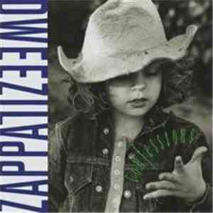 Dweezil Zappa - Confessions
