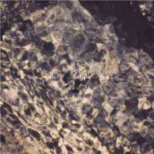 DR  - Musci For Quiet Listening Pt.3