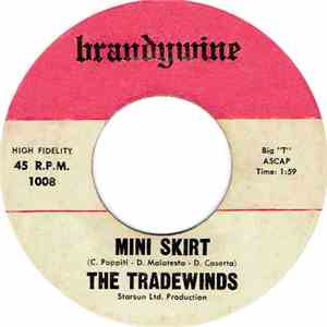 The Tradewinds - Mini skirt / Down to the seashore