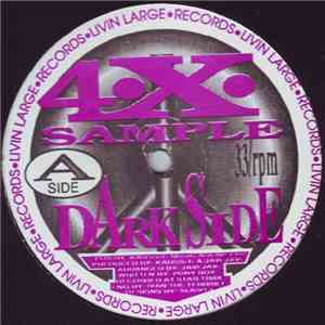4.X. Sample - Darkside