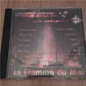 DJ Pavaul - N°11 - La Flamme Du Mal (L' Unité Undaground Tome 4)